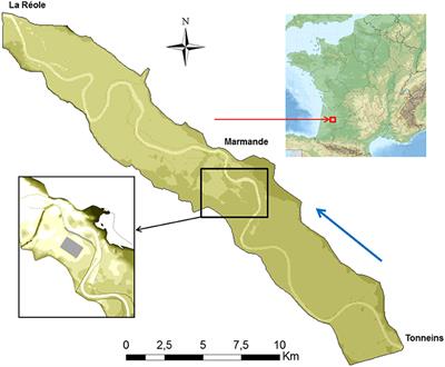 Inversion Algorithm for Civil Flood Defense Optimization: Application to Two-Dimensional Numerical Model of the Garonne River in France